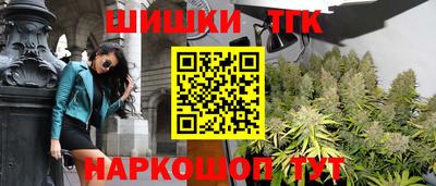 стаф Абакан