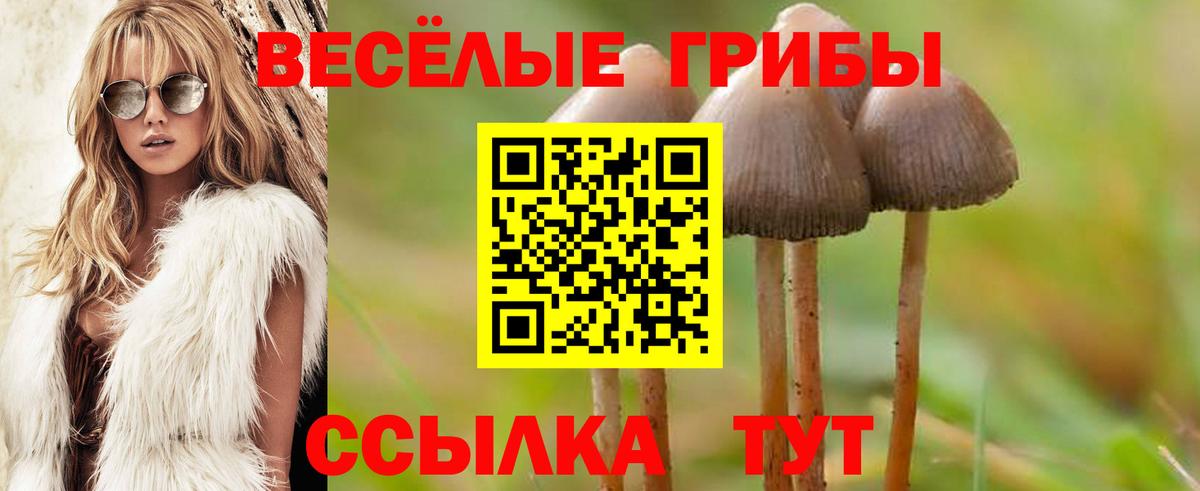 Псилоцибиновые грибы прущие грибы  Вход с VPN  Алатырь 